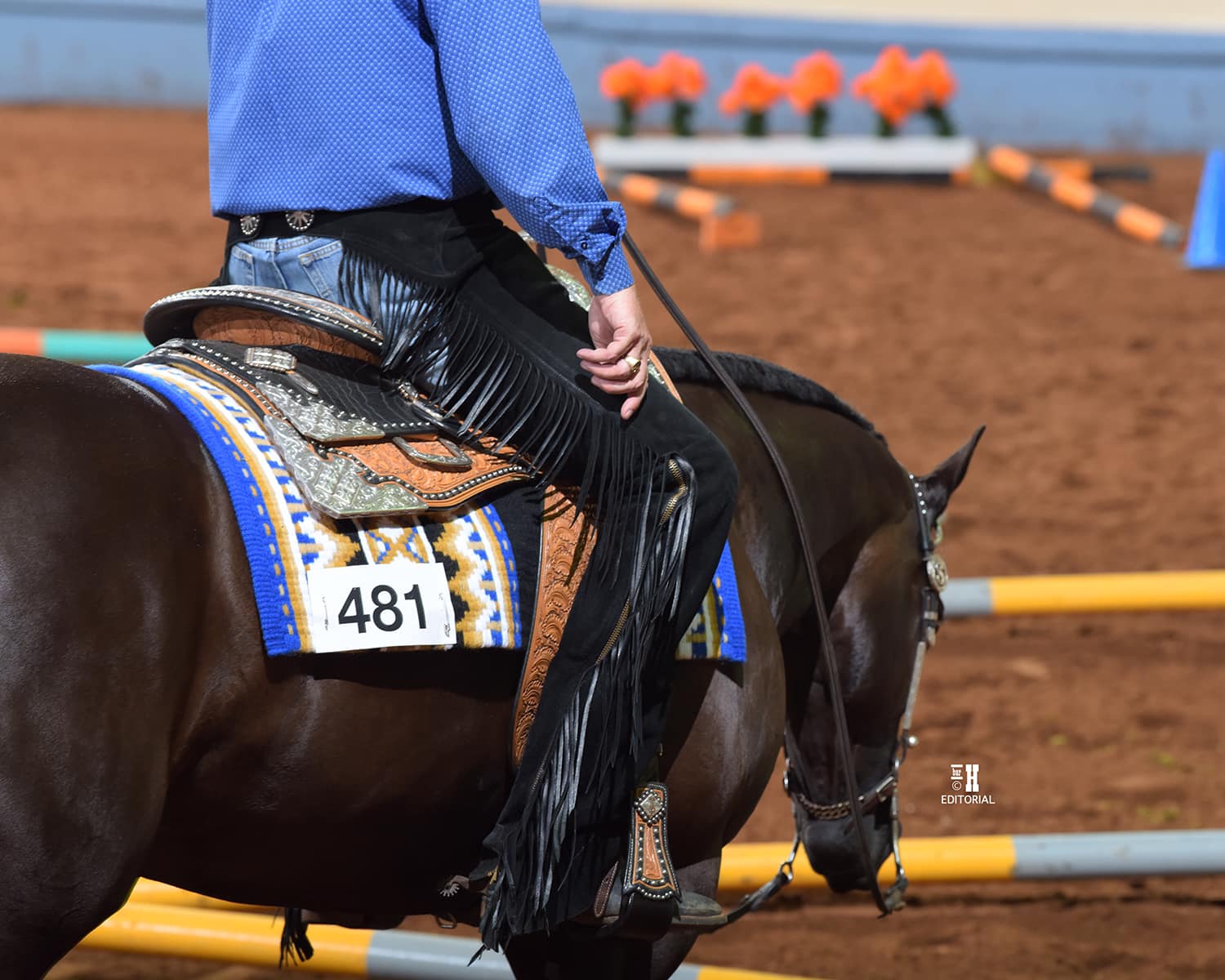 OQHA Redbud Spectacular Horse Show