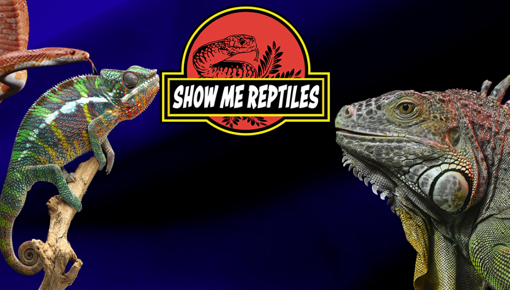 Show Me Reptiles & Exotic Show