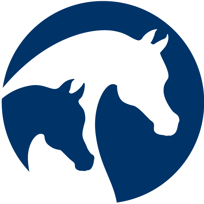 Arabian & Half-Arabian Youth and Mid Summer National Championship